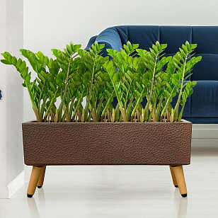 Кашпо Idealist Lite Урбан напольное прямоугольное с подставкой 58 Цвет: кофе для сада и загородного дома Кашпо Idealist Lite Урбан напольное прямоугольное с подставкой 58 Цвет: кофе, уличное оборудование