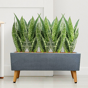 Кашпо Idealist Lite Урбан напольное прямоугольное с подставкой 58 Цвет: антрацит для сада и загородного дома Кашпо Idealist Lite Урбан напольное прямоугольное с подставкой 58 Цвет: антрацит, уличное оборудование