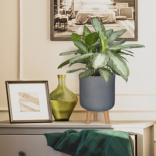 Кашпо Idealist Lite Урбан настольное круглое с подставкой D24 Цвет: антрацит для сада и загородного дома Кашпо Idealist Lite Урбан настольное круглое с подставкой D24 Цвет: антрацит, уличное оборудование