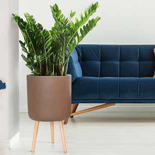 Кашпо Idealist Lite Урбан напольное круглое с подставкой D63 Цвет: кофе для сада и загородного дома Кашпо Idealist Lite Урбан напольное круглое с подставкой D63 Цвет: кофе, уличное оборудование