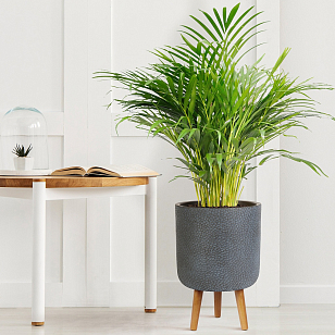 Кашпо Idealist Lite Урбан напольное круглое с подставкой D63 Цвет: антрацит для сада и загородного дома Кашпо Idealist Lite Урбан напольное круглое с подставкой D63 Цвет: антрацит, уличное оборудование