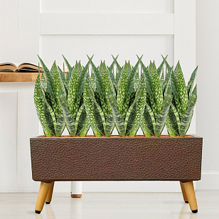 Кашпо Idealist Lite Урбан напольное прямоугольное с подставкой 65 Цвет: кофе для сада и загородного дома Кашпо Idealist Lite Урбан напольное прямоугольное с подставкой 65 Цвет: кофе, уличное оборудование