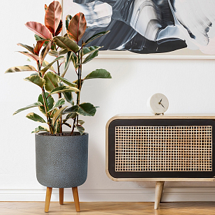 Кашпо Idealist Lite Урбан напольное круглое с подставкой D63 Цвет: антрацит для сада и загородного дома Кашпо Idealist Lite Урбан напольное круглое с подставкой D63 Цвет: антрацит, уличное оборудование