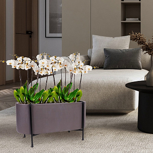 Кашпо Idealist Lite Таун Куб напольное с подставкой 44 Цвет: кофе для сада и загородного дома Кашпо Idealist Lite Таун Куб напольное с подставкой 44 Цвет: кофе, уличное оборудование