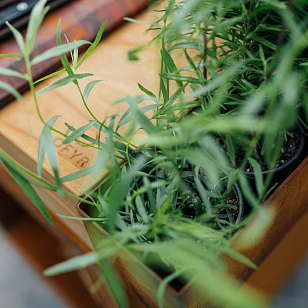 Стол OFYR Table PRO для Kamado Joe для приготовления пищи Стол OFYR Table PRO для Kamado Joe для сада