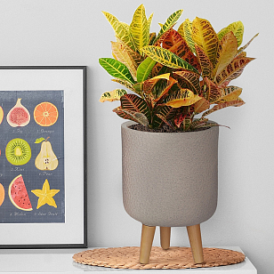 Кашпо Idealist Lite Урбан настольное круглое с подставкой D24 Цвет: серо-коричневый для сада и загородного дома Кашпо Idealist Lite Урбан настольное круглое с подставкой D24 Цвет: серо-коричневый, уличное оборудование