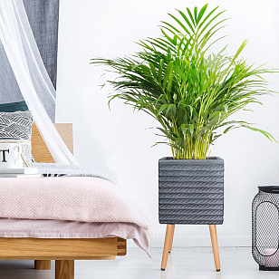 Кашпо Idealist Lite Таун Куб напольное с подставкой 30 Цвет: антрацит для сада и загородного дома Кашпо Idealist Lite Таун Куб напольное с подставкой 30 Цвет: антрацит, уличное оборудование