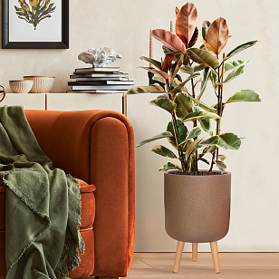 Кашпо Idealist Lite Урбан напольное круглое с подставкой D46 Цвет: кофе для сада и загородного дома Кашпо Idealist Lite Урбан напольное круглое с подставкой D46 Цвет: кофе, уличное оборудование