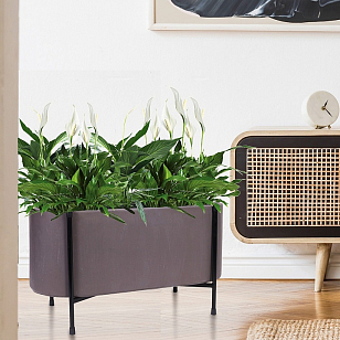 Кашпо Idealist Lite Таун Куб напольное с подставкой 58 Цвет: кофе для сада и загородного дома Кашпо Idealist Lite Таун Куб напольное с подставкой 58 Цвет: кофе, уличное оборудование