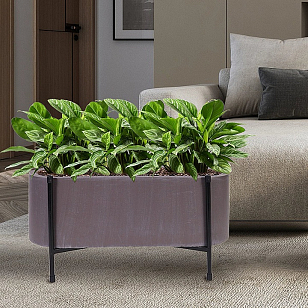 Кашпо Idealist Lite Таун Куб напольное с подставкой 58 Цвет: кофе для сада и загородного дома Кашпо Idealist Lite Таун Куб напольное с подставкой 58 Цвет: кофе, уличное оборудование