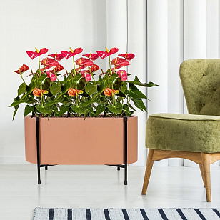 Кашпо Idealist Lite Таун Куб напольное с подставкой 58 Цвет: терракот для сада и загородного дома Кашпо Idealist Lite Таун Куб напольное с подставкой 58 Цвет: терракот, уличное оборудование
