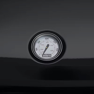 Гриль электрический Weber Lumin для приготовления пищи Гриль электрический Weber Lumin для сада