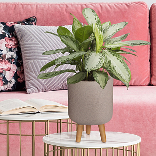 Кашпо Idealist Lite Урбан настольное круглое с подставкой D24 Цвет: серо-коричневый для сада и загородного дома Кашпо Idealist Lite Урбан настольное круглое с подставкой D24 Цвет: серо-коричневый, уличное оборудование