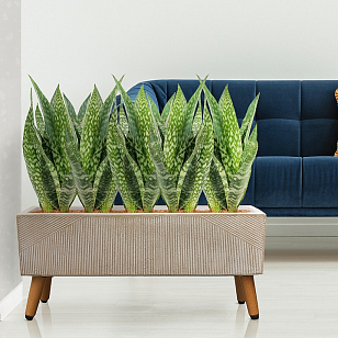 Кашпо Idealist Lite Урбан напольное прямоугольное с подставкой 65 Цвет: бежевый для сада и загородного дома Кашпо Idealist Lite Урбан напольное прямоугольное с подставкой 65 Цвет: бежевый, уличное оборудование