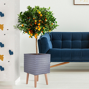 Кашпо Idealist Lite Таун Куб напольное с подставкой 30 Цвет: антрацит для сада и загородного дома Кашпо Idealist Lite Таун Куб напольное с подставкой 30 Цвет: антрацит, уличное оборудование