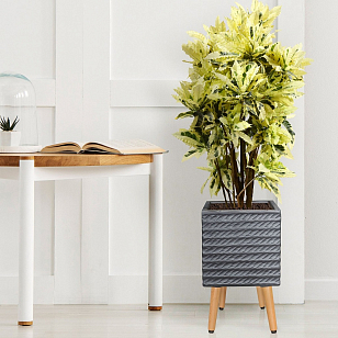 Кашпо Idealist Lite Таун Куб напольное с подставкой 25 Цвет: антрацит для сада и загородного дома Кашпо Idealist Lite Таун Куб напольное с подставкой 25 Цвет: антрацит, уличное оборудование