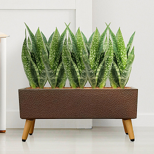 Кашпо Idealist Lite Урбан напольное прямоугольное с подставкой 58 Цвет: кофе для сада и загородного дома Кашпо Idealist Lite Урбан напольное прямоугольное с подставкой 58 Цвет: кофе, уличное оборудование