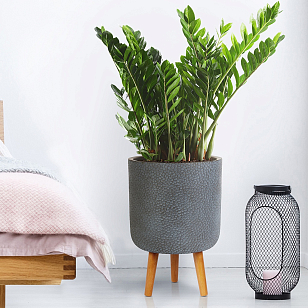 Кашпо Idealist Lite Урбан напольное круглое с подставкой D63 Цвет: антрацит для сада и загородного дома Кашпо Idealist Lite Урбан напольное круглое с подставкой D63 Цвет: антрацит, уличное оборудование