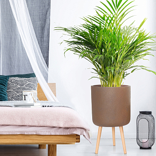 Кашпо Idealist Lite Урбан напольное круглое с подставкой D63 Цвет: кофе для сада и загородного дома Кашпо Idealist Lite Урбан напольное круглое с подставкой D63 Цвет: кофе, уличное оборудование