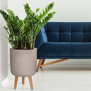 Кашпо Idealist Lite Урбан напольное круглое с подставкой D63 Цвет: серо-коричневый для сада и загородного дома Кашпо Idealist Lite Урбан напольное круглое с подставкой D63 Цвет: серо-коричневый, уличное оборудование