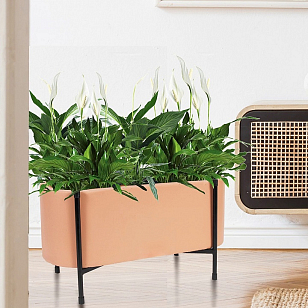 Кашпо Idealist Lite Таун Куб напольное с подставкой 58 Цвет: терракот для сада и загородного дома Кашпо Idealist Lite Таун Куб напольное с подставкой 58 Цвет: терракот, уличное оборудование