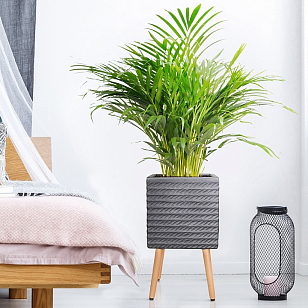 Кашпо Idealist Lite Таун Куб напольное с подставкой 37 Цвет: черный для сада и загородного дома Кашпо Idealist Lite Таун Куб напольное с подставкой 37 Цвет: черный, уличное оборудование