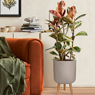 Кашпо Idealist Lite Урбан напольное круглое с подставкой D63 Цвет: серо-коричневый для сада и загородного дома Кашпо Idealist Lite Урбан напольное круглое с подставкой D63 Цвет: серо-коричневый, уличное оборудование