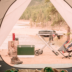 Гриль газовый на подставке Weber Traveler для приготовления пищи гриль газовый на подставке weber traveler