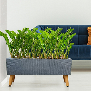 Кашпо Idealist Lite Урбан напольное прямоугольное с подставкой 58 Цвет: антрацит для сада и загородного дома Кашпо Idealist Lite Урбан напольное прямоугольное с подставкой 58 Цвет: антрацит, уличное оборудование