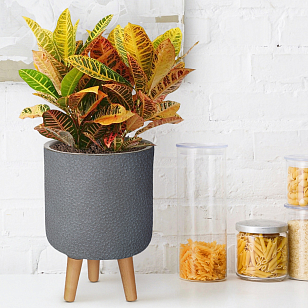 Кашпо Idealist Lite Урбан настольное круглое с подставкой D24 Цвет: антрацит для сада и загородного дома Кашпо Idealist Lite Урбан настольное круглое с подставкой D24 Цвет: антрацит, уличное оборудование