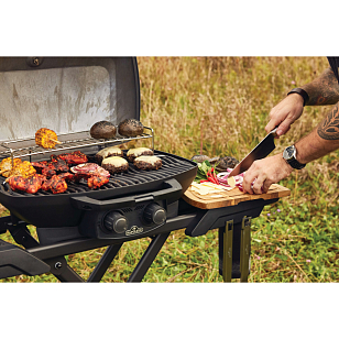 Гриль газовый Napoleon TravelQ PRO 285X Phantom для приготовления пищи гриль газовый napoleon travelq pro 285x phantom