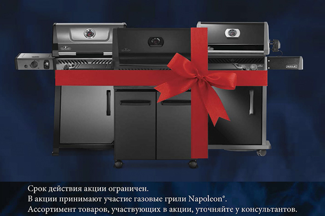 Наполеон новогодняя акция