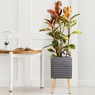 Кашпо Idealist Lite Таун Куб напольное с подставкой 37 Цвет: черный для сада и загородного дома Кашпо Idealist Lite Таун Куб напольное с подставкой 37 Цвет: черный, уличное оборудование