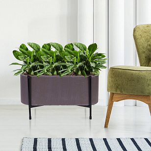 Кашпо Idealist Lite Таун Куб напольное с подставкой 44 Цвет: кофе для сада и загородного дома Кашпо Idealist Lite Таун Куб напольное с подставкой 44 Цвет: кофе, уличное оборудование