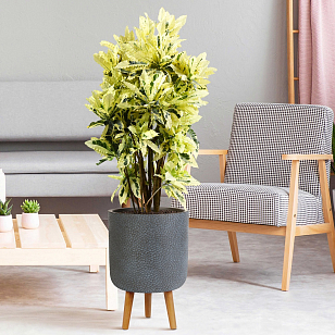 Кашпо Idealist Lite Урбан напольное круглое с подставкой D63 Цвет: антрацит для сада и загородного дома Кашпо Idealist Lite Урбан напольное круглое с подставкой D63 Цвет: антрацит, уличное оборудование