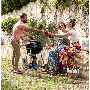 Угольный гриль Napoleon NK22K-LEG-3 для приготовления пищи угольный гриль napoleon nk22k-leg-3