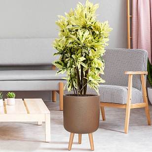 Кашпо Idealist Lite Урбан напольное круглое с подставкой D46 Цвет: кофе для сада и загородного дома Кашпо Idealist Lite Урбан напольное круглое с подставкой D46 Цвет: кофе, уличное оборудование