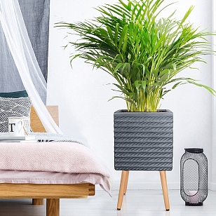 Кашпо Idealist Lite Таун Куб напольное с подставкой 37 Цвет: антрацит для сада и загородного дома Кашпо Idealist Lite Таун Куб напольное с подставкой 37 Цвет: антрацит, уличное оборудование