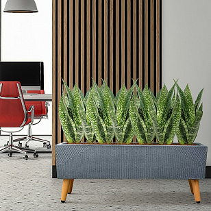 Кашпо Idealist Lite Урбан напольное прямоугольное с подставкой 65 Цвет: антрацит для сада и загородного дома Кашпо Idealist Lite Урбан напольное прямоугольное с подставкой 65 Цвет: антрацит, уличное оборудование