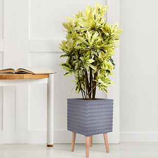 Кашпо Idealist Lite Таун Куб напольное с подставкой 30 Цвет: антрацит для сада и загородного дома Кашпо Idealist Lite Таун Куб напольное с подставкой 30 Цвет: антрацит, уличное оборудование