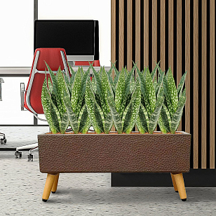 Кашпо Idealist Lite Урбан напольное прямоугольное с подставкой 74 Цвет: кофе для сада и загородного дома Кашпо Idealist Lite Урбан напольное прямоугольное с подставкой 74 Цвет: кофе, уличное оборудование