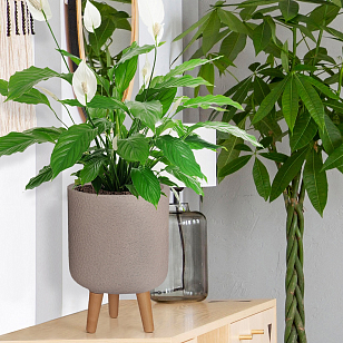 Кашпо Idealist Lite Урбан настольное круглое с подставкой D24 Цвет: серо-коричневый для сада и загородного дома Кашпо Idealist Lite Урбан настольное круглое с подставкой D24 Цвет: серо-коричневый, уличное оборудование