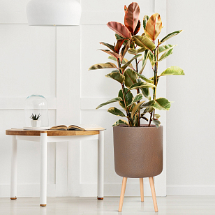 Кашпо Idealist Lite Урбан напольное круглое с подставкой D63 Цвет: кофе для сада и загородного дома Кашпо Idealist Lite Урбан напольное круглое с подставкой D63 Цвет: кофе, уличное оборудование