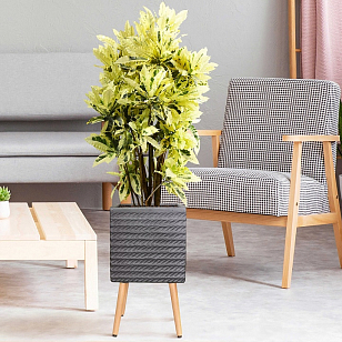 Кашпо Idealist Lite Таун Куб напольное с подставкой 37 Цвет: черный для сада и загородного дома Кашпо Idealist Lite Таун Куб напольное с подставкой 37 Цвет: черный, уличное оборудование