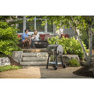 Угольный гриль-коптильня Broil King Regal Grill 400 для приготовления пищи Угольный гриль-коптильня Broil King Regal Grill 400 для сада